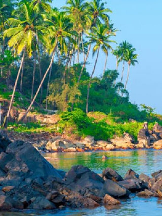 Top 5 Beaches in Goa
