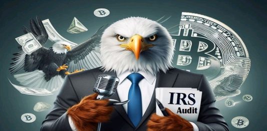 Avoiding the IRS Spotlight 7 Red Flags that Could Trigger an Audit-Edueasify