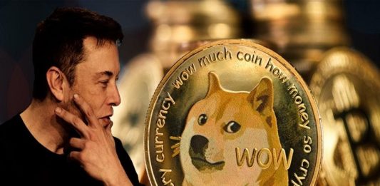 Dogecoin Rockets to Highest Price Since 2022 Amid Bitcoin Bull Run-Edueasify