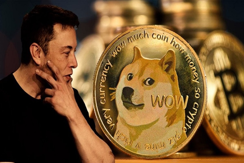 Dogecoin Rockets to Highest Price Since 2022 Amid Bitcoin Bull Run-Edueasify